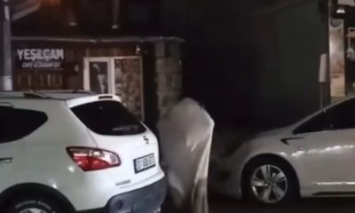 Sarıkamış’ta korku filmi gibi olay