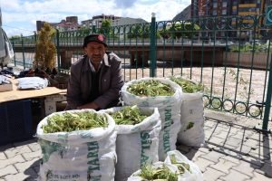 Çaşır'ın kilosu 40 liradan satılıyor 2 AW628133 01 1