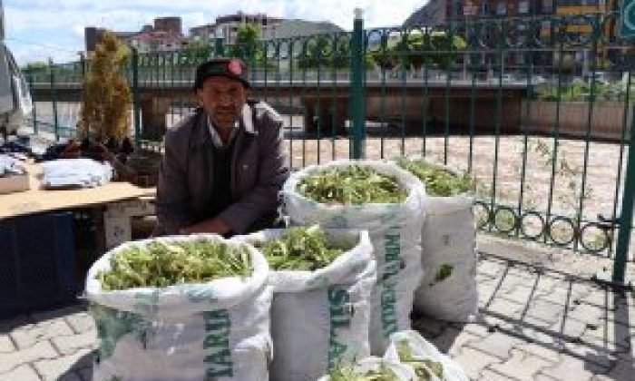Çaşır’ın kilosu 40 liradan satılıyor