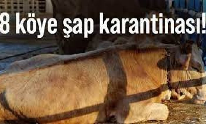 Sarıkamış’ta 8 köye hayvan giriş-çıkışı kısıtlandı