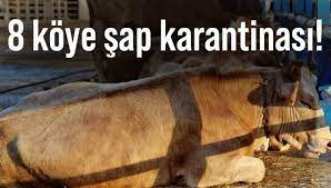 indir 3