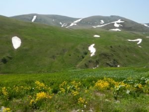 Ardahan’da yayla yolculuğu başladı 1 AW637817 01