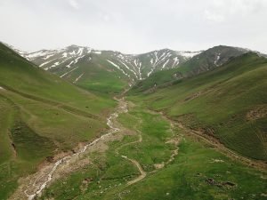 AW638046 01
