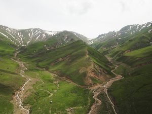 AW638046 02