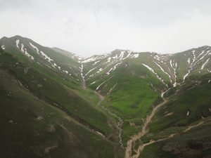 AW638046 04