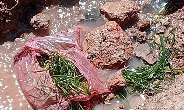 Digor Varlı köyü afet evleri suya kavuştu