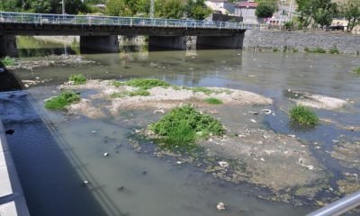 Kars Çayı Zehir Akıyor