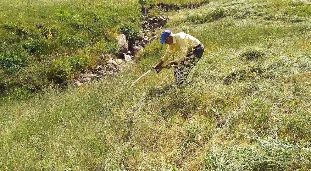 Tırpanla ot biçme geleneği kayboluyor 3 AW670614 02