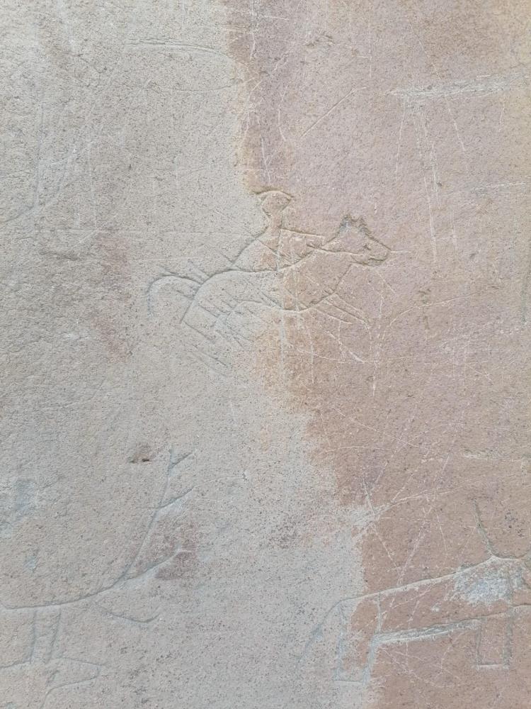 AW676145 06