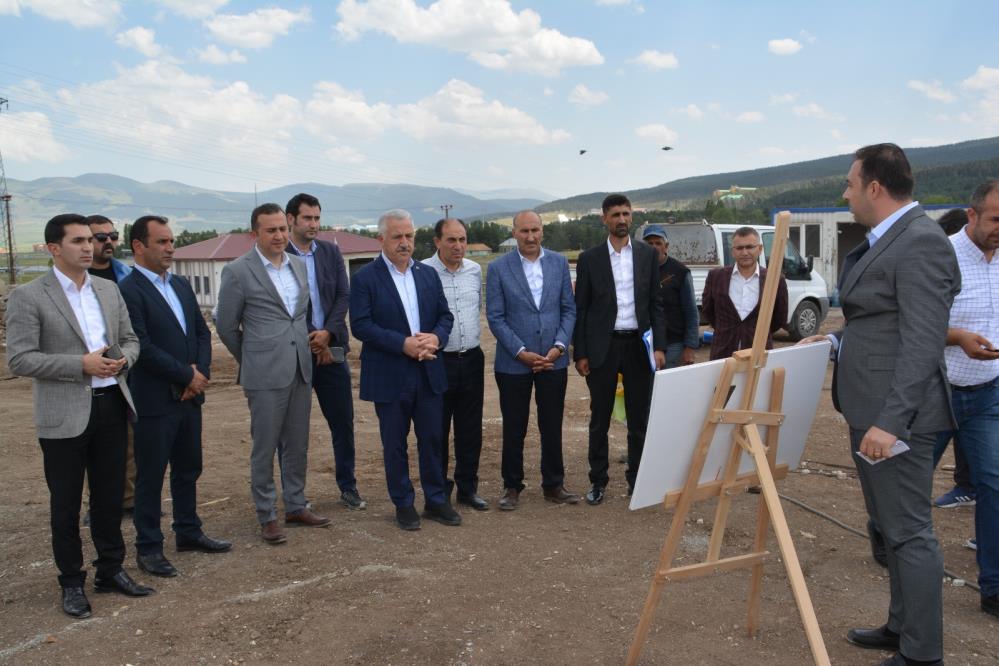 AW677338 01