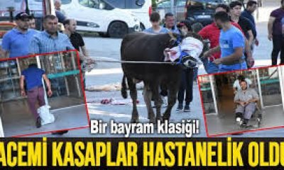 Kars’ta 85 kişi, kurban keserken yaralandı