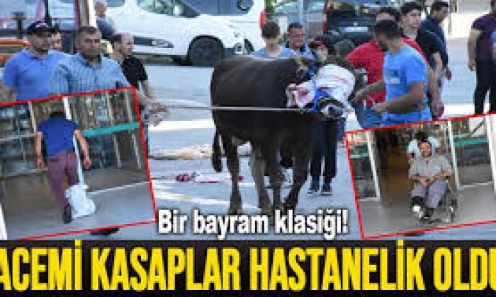 Kars’ta 85 kişi, kurban keserken yaralandı