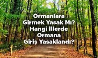 Kars’ta ormanlara girişler yasaklandı