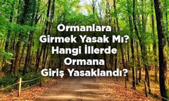 Kars’ta ormanlara girişler yasaklandı