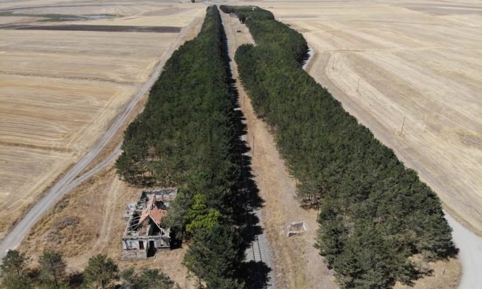 Kars’ta bozkırın ortasındaki ‘vaha’ büyülüyor
