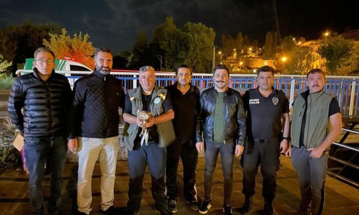 Kars’ta kızıl şahin tedavi altına alındı
