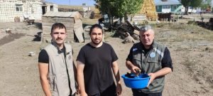 Arpaçay’da bulunan Kerkenez kuşu tedavi altına alındı 1 AW712204 01