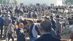 Başkan Altun Hayvan Pazarı’nda 2 AW716614 03
