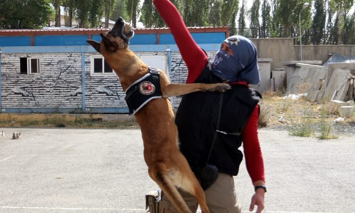 Narkotik köpeği Eris, Erzurum’da uyuşturucuya geçit vermiyor