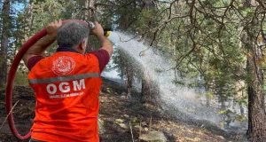 Sarıkamış'ta ormanlık alanda çıkan örtü yangını söndürüldü 1 5090275