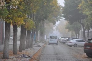 Kars’ta yoğun sis