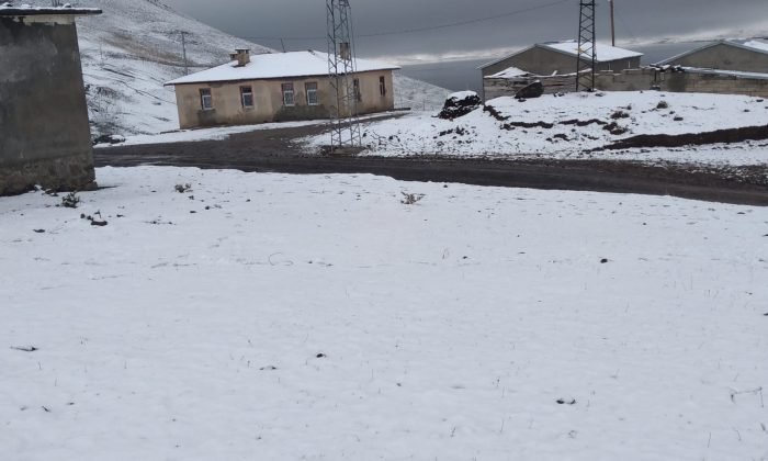 Ağrı’nın yüksek kesimleri karla kaplandı