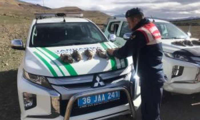 Jandarma kaçak avcıları suçüstü yakaladı