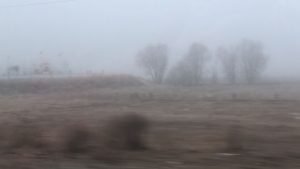 AW757790 03