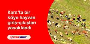 Kars’ta bir köye hayvan giriş-çıkışları yasaklandı 