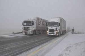 AW774473 04