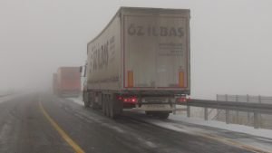 AW774473 05