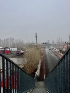 AW779806 05