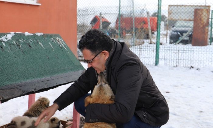 Ardahan Belediyesi Sokak Hayvanlarını Unutmuyor
