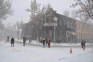 AW814591 04 1