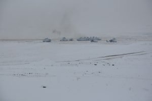 AW815791 04