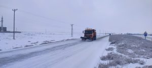 AW816252 04