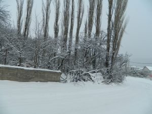 Posof’ta kar esareti 1 AW818133 02
