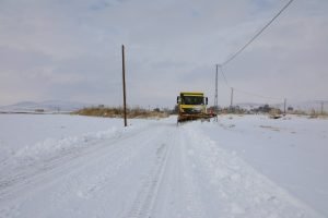 AW818578 02