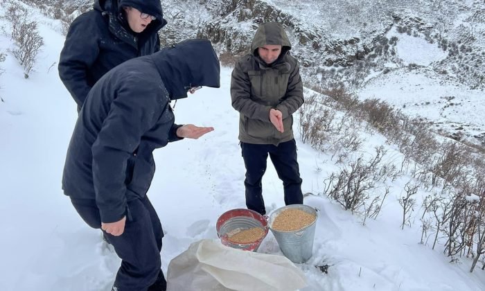 Kars’ta yaban hayvanları için doğa yem bırakıldı