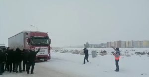 AW823467 01