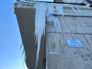 Erzurum’da dondurucu soğuklar etkili oluyor 1 AW824285 02