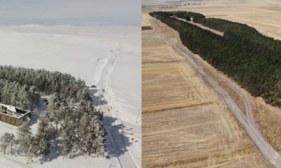 Kars’ta 20 bin çam ağacı görenleri büyülüyor