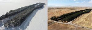 AW839249 03