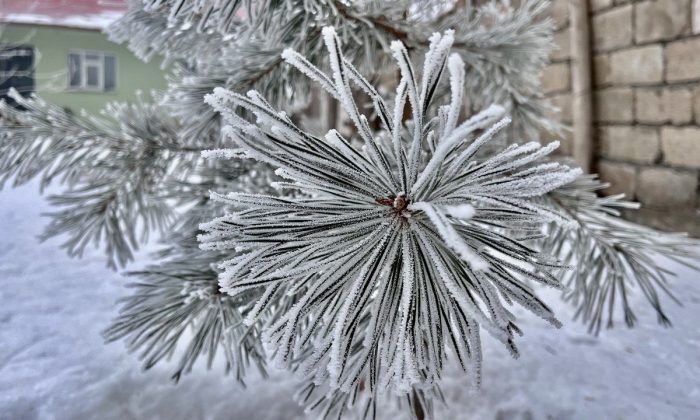 Ağrı’da çamaşırlar dondu