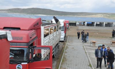 Kars’ta Hayvan Pazarı’nda ilk gün bereketi