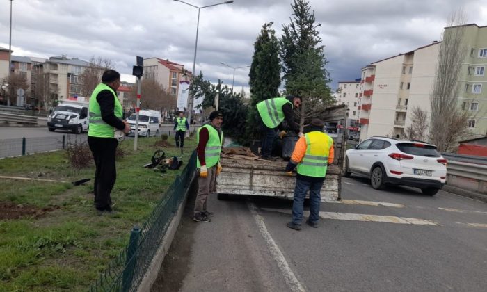 Kars’ta park, bahçe ve refüjler çiçek açıyor