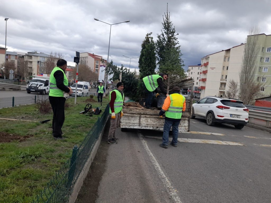 Kars’ta park, bahçe ve refüjler çiçek açıyor 1 AW886761 02
