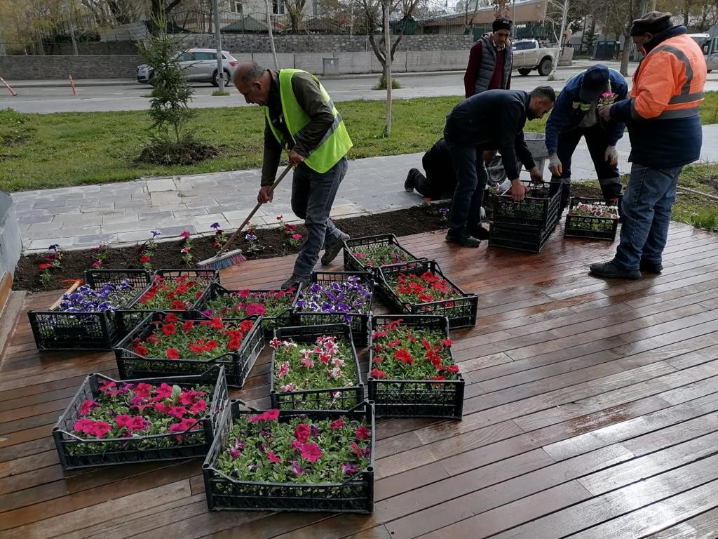 Kars’ta park, bahçe ve refüjler çiçek açıyor 3 AW886761 04 1