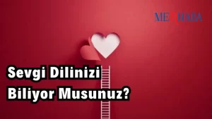 SEVGİ DİLİNİZİ BİLİYOR MUSUNUZ?