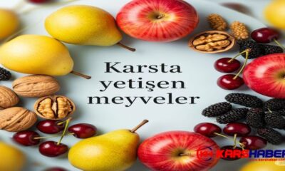 Kars’ta hangi meyve yetişiyor